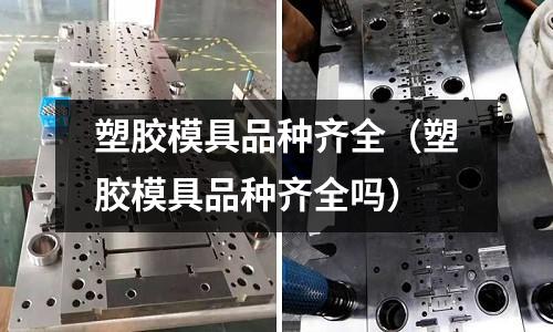 塑膠模具品種齊全（塑膠模具品種齊全嗎）