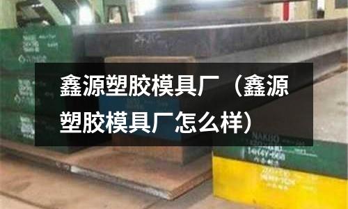 鑫源塑膠模具廠（鑫源塑膠模具廠怎么樣）