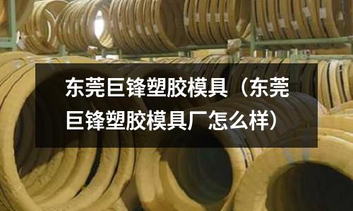 東莞巨鋒塑膠模具（東莞巨鋒塑膠模具廠(chǎng)怎么樣）