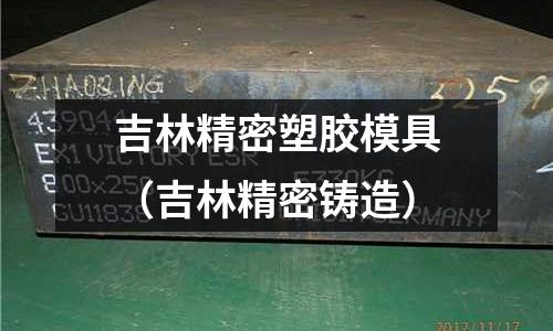 吉林精密塑膠模具（吉林精密鑄造）