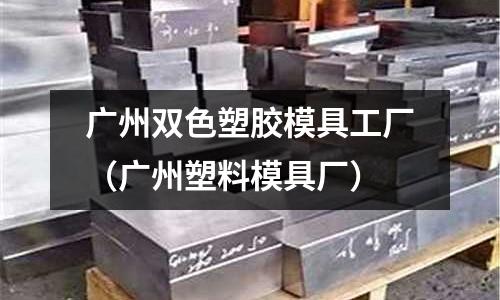 廣州雙色塑膠模具工廠（廣州塑料模具廠）