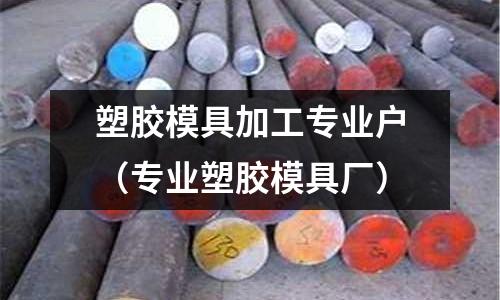 塑膠模具加工專業(yè)戶（專業(yè)塑膠模具廠）