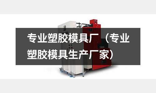 專業(yè)塑膠模具廠（專業(yè)塑膠模具生產(chǎn)廠家）