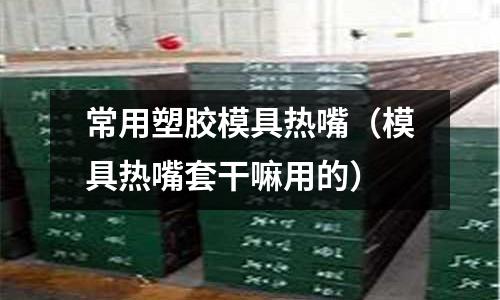 常用塑膠模具熱嘴（模具熱嘴套干嘛用的）