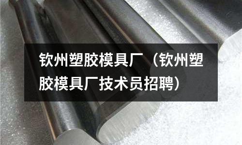 欽州塑膠模具廠（欽州塑膠模具廠技術(shù)員招聘）