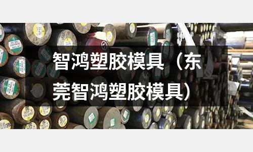 智鴻塑膠模具（東莞智鴻塑膠模具）