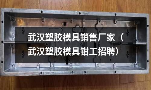 武漢塑膠模具銷售廠家（武漢塑膠模具鉗工招聘）