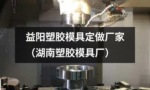 益陽塑膠模具定做廠家（湖南塑膠模具廠）