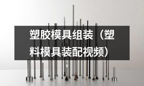 塑膠模具組裝（塑料模具裝配視頻）