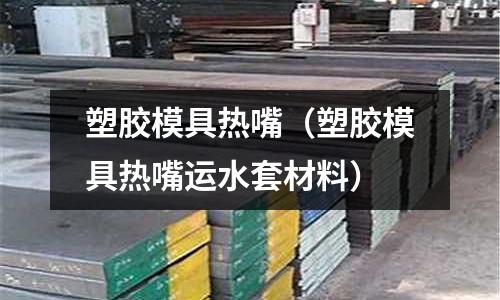 塑膠模具熱嘴（塑膠模具熱嘴運水套材料）