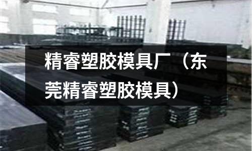 精睿塑膠模具廠（東莞精睿塑膠模具）