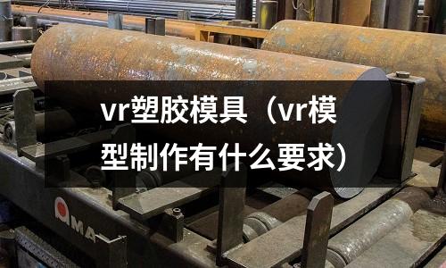 vr塑膠模具（vr模型制作有什么要求）