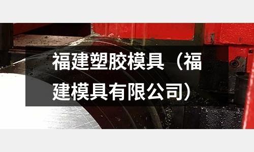 福建塑膠模具（福建模具有限公司）