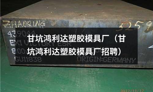 甘坑鴻利達塑膠模具廠（甘坑鴻利達塑膠模具廠招聘）