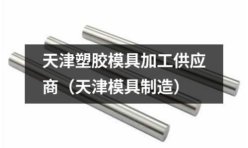 天津塑膠模具加工供應商（天津模具制造）