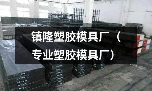 鎮(zhèn)隆塑膠模具廠（專業(yè)塑膠模具廠）