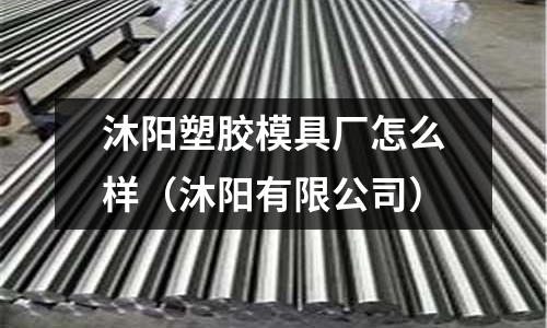 沐陽塑膠模具廠怎么樣（沐陽有限公司）