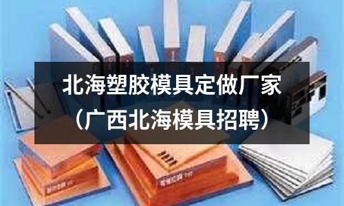 北海塑膠模具定做廠家（廣西北海模具招聘）