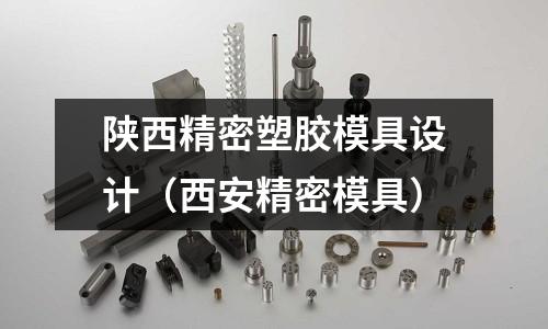 陜西精密塑膠模具設(shè)計（西安精密模具）