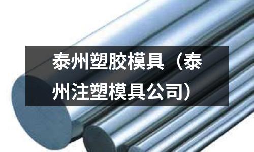 泰州塑膠模具（泰州注塑模具公司）