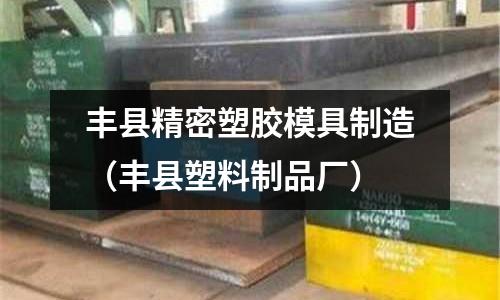 豐縣精密塑膠模具制造（豐縣塑料制品廠）