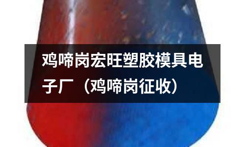 雞啼崗宏旺塑膠模具電子廠（雞啼崗征收）