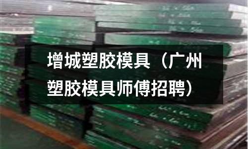 增城塑膠模具（廣州塑膠模具師傅招聘）