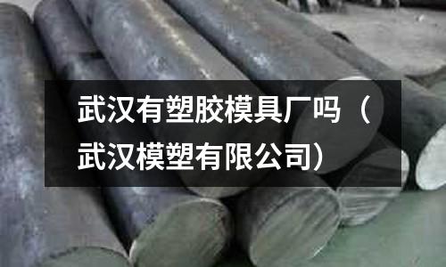 武漢有塑膠模具廠嗎（武漢模塑有限公司）