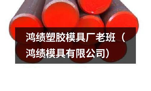 鴻績塑膠模具廠老班（鴻績模具有限公司）