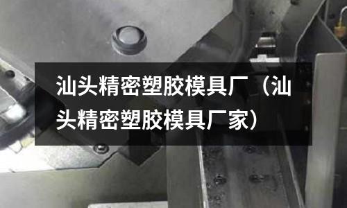 汕頭精密塑膠模具廠（汕頭精密塑膠模具廠家）