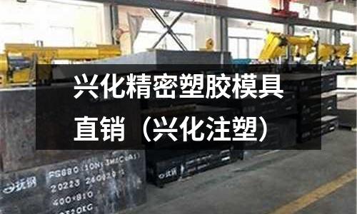 興化精密塑膠模具直銷（興化注塑）