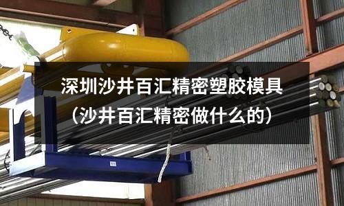 深圳沙井百匯精密塑膠模具（沙井百匯精密做什么的）