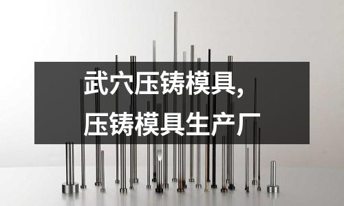 武穴壓鑄模具,壓鑄模具生產(chǎn)廠