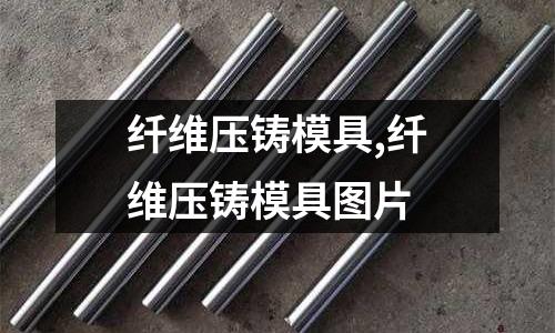 纖維壓鑄模具,纖維壓鑄模具圖片