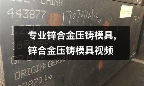 專業(yè)鋅合金壓鑄模具,鋅合金壓鑄模具視頻