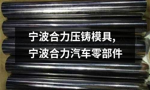 寧波合力壓鑄模具,寧波合力汽車零部件