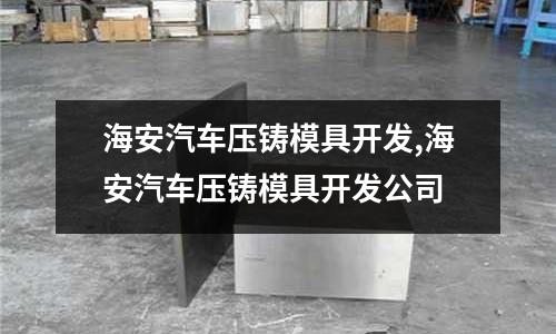 海安汽車壓鑄模具開發(fā),海安汽車壓鑄模具開發(fā)公司