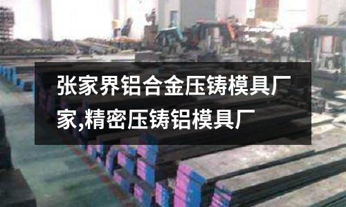 張家界鋁合金壓鑄模具廠家,精密壓鑄鋁模具廠