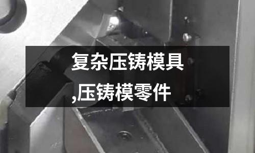 復(fù)雜壓鑄模具,壓鑄模零件