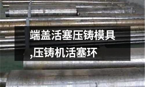 端蓋活塞壓鑄模具,壓鑄機(jī)活塞環(huán)