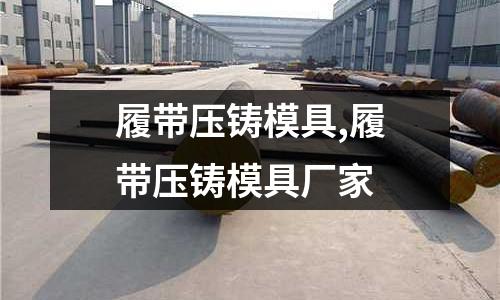 履帶壓鑄模具,履帶壓鑄模具廠家