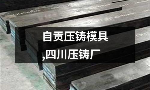 自貢壓鑄模具,四川壓鑄廠