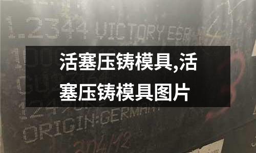 活塞壓鑄模具,活塞壓鑄模具圖片