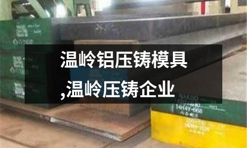 溫嶺鋁壓鑄模具,溫嶺壓鑄企業(yè)