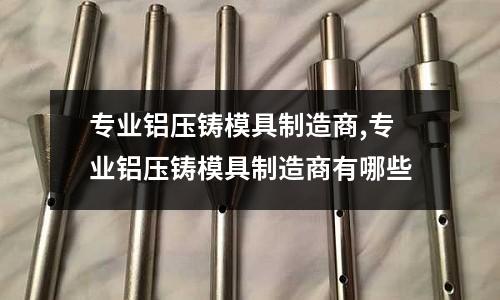 專業(yè)鋁壓鑄模具制造商,專業(yè)鋁壓鑄模具制造商有哪些