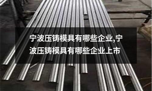 寧波壓鑄模具有哪些企業(yè),寧波壓鑄模具有哪些企業(yè)上市