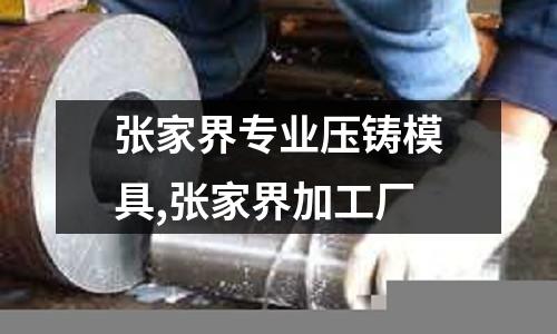 張家界專業(yè)壓鑄模具,張家界加工廠