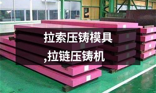 拉索壓鑄模具,拉鏈壓鑄機(jī)