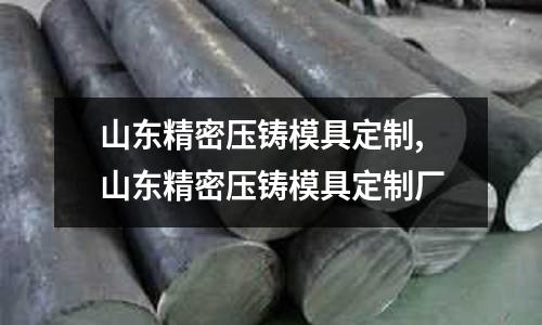 山東精密壓鑄模具定制,山東精密壓鑄模具定制廠