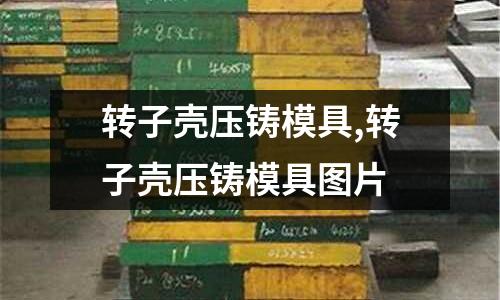 轉(zhuǎn)子殼壓鑄模具,轉(zhuǎn)子殼壓鑄模具圖片